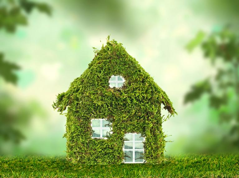  help mitigate climate change from your home